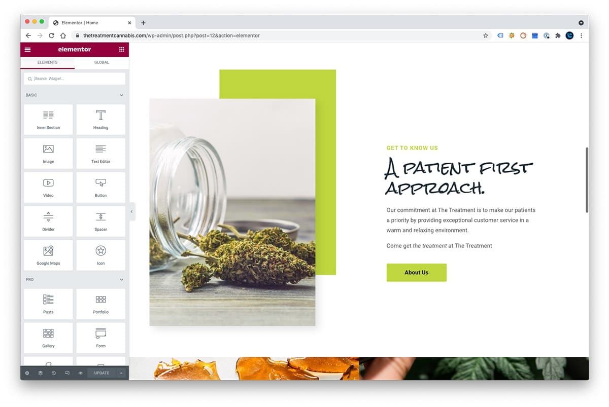 elementor for wordpress dispensary interface