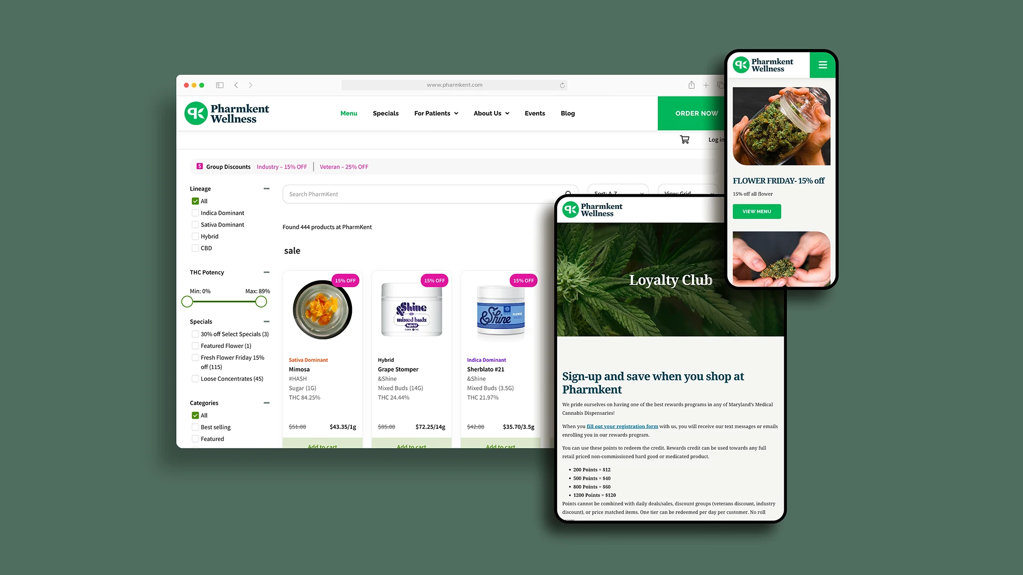 Pharmkent Website Design