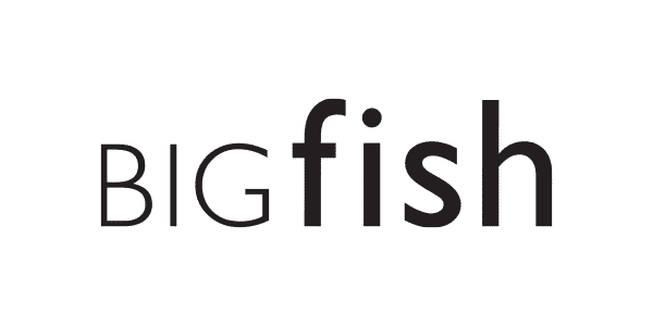 BIGfish Logo