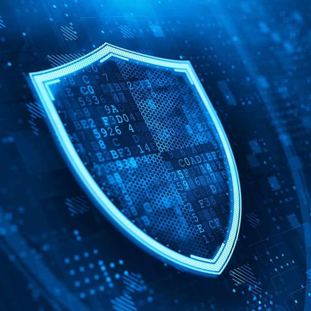 Website Managed Hosting and Security